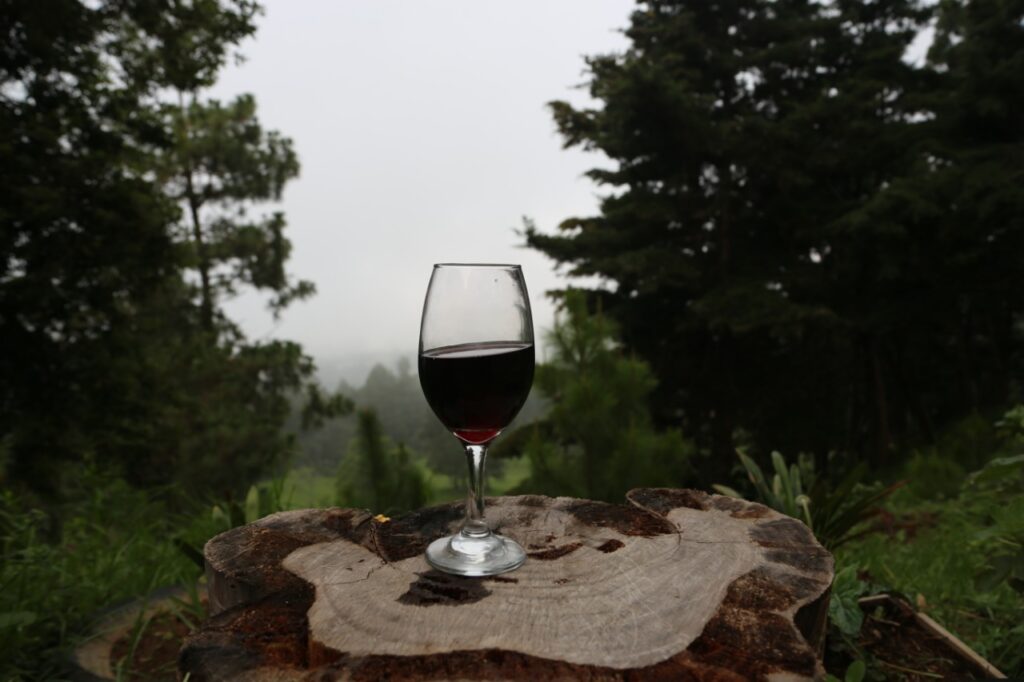 copa de vino copa de vino